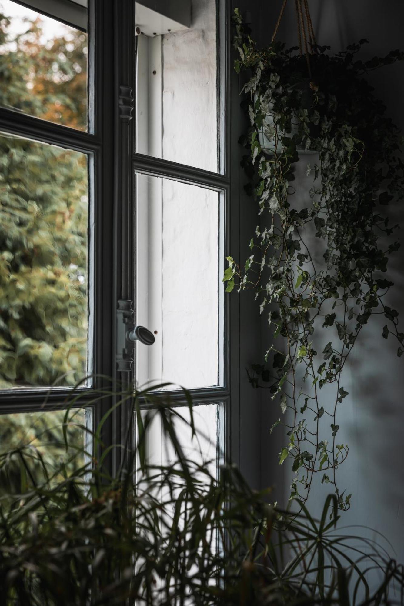 Pieux Bed & Breakfast Montreuil  Dış mekan fotoğraf